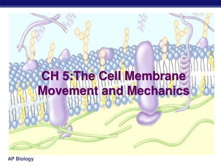 CH 5:The Cell Membrane Movement and Mechanics