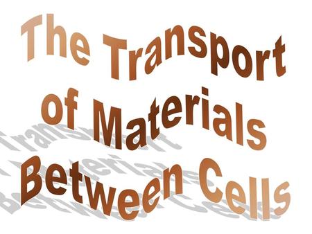 The Transport of Materials Between Cells.