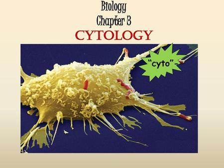 Biology Chapter 3 CYTOLOGY