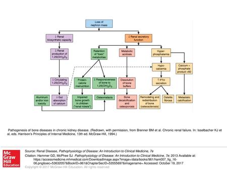 Pathogenesis of bone diseases in chronic kidney disease