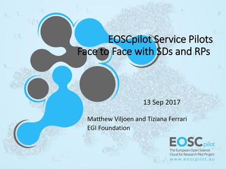 EOSCpilot Service Pilots Face to Face with SDs and RPs