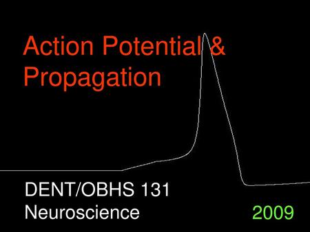 Action Potential & Propagation