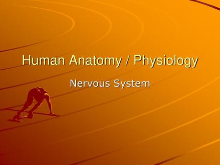 Human Anatomy / Physiology