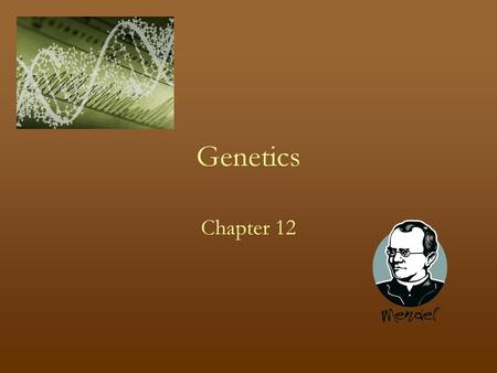Genetics Chapter 12.