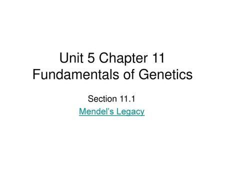 Unit 5 Chapter 11 Fundamentals of Genetics
