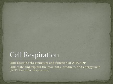 Cell Respiration OBJ: describe the structure and function of ATP/ADP
