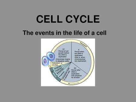 The events in the life of a cell