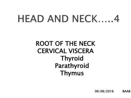 HEAD AND NECK…..4 ROOT OF THE NECK CERVICAL VISCERA Thyroid