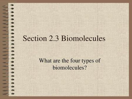What are the four types of biomolecules?