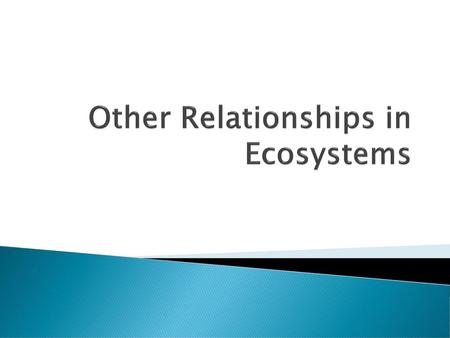Other Relationships in Ecosystems