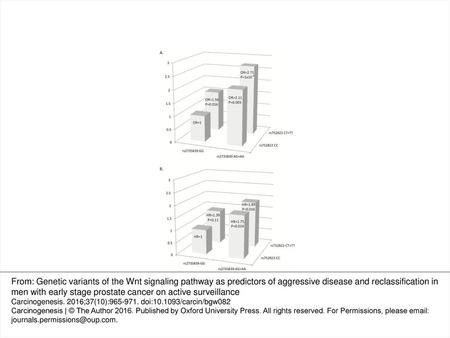 Figure 1. Joint effect of rs752822 and rs2735839 on prostate cancer aggressiveness and reclassification. (A) Joint effect of rs752822 and rs2735839 on.