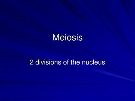 2 divisions of the nucleus