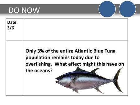 DO NOW Date: 3/6 Only 3% of the entire Atlantic Blue Tuna population remains today due to overfishing. What effect might this have on the oceans?