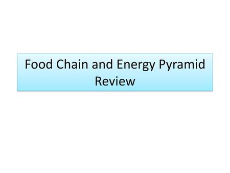 Food Chain and Energy Pyramid Review