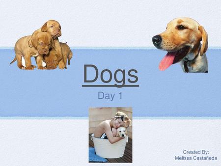 Dogs Day 1 Created By: Melissa Castañeda.