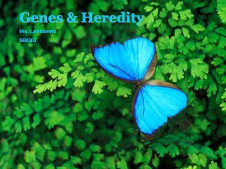 Genes & Heredity Ms. Lefebvre SBI3U.