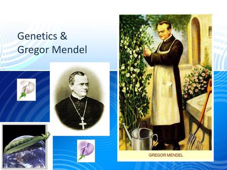 Genetics & Gregor Mendel