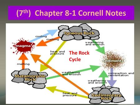 (7th) Chapter 8-1 Cornell Notes