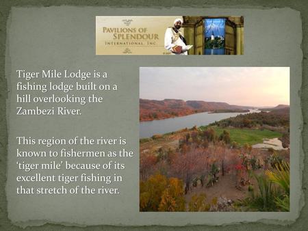 Tiger Mile Lodge is a fishing lodge built on a hill overlooking the Zambezi River. This region of the river is known to fishermen as the ‘tiger mile’ because.