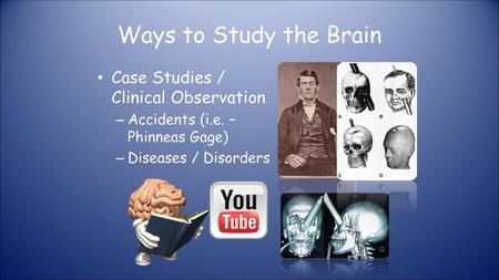 Ways to Study the Brain Case Studies / Clinical Observation