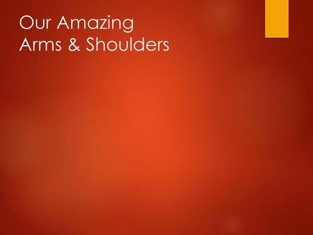 Our Amazing Arms & Shoulders