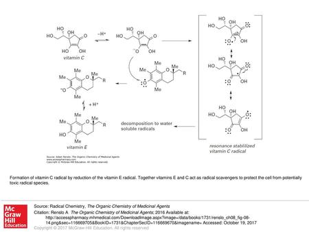 Formation of vitamin C radical by reduction of the vitamin E radical