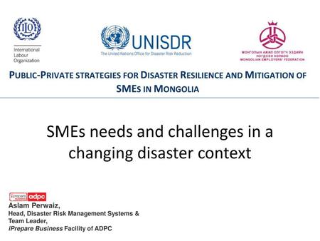 SMEs needs and challenges in a changing disaster context