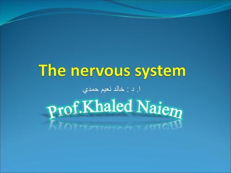 The nervous system ا. د : خالد نعيم حمدي Prof.Khaled Naiem.