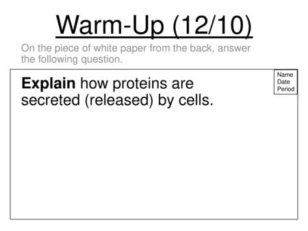 Warm-Up (12/10) Explain how proteins are secreted (released) by cells.