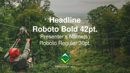 Headline Roboto Bold 42pt.