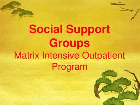 Social Support Groups Matrix Intensive Outpatient Program