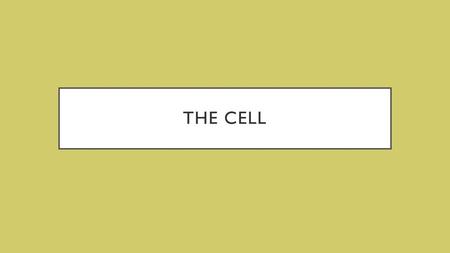 The cell.