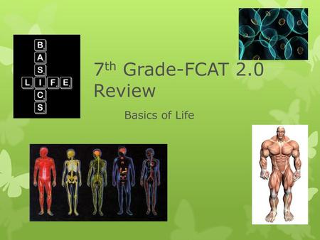 7th Grade-FCAT 2.0 Review Basics of Life.