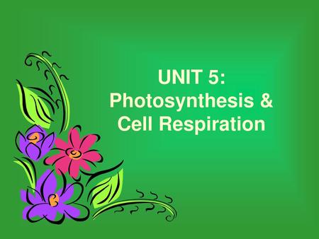 UNIT 5: Photosynthesis & Cell Respiration
