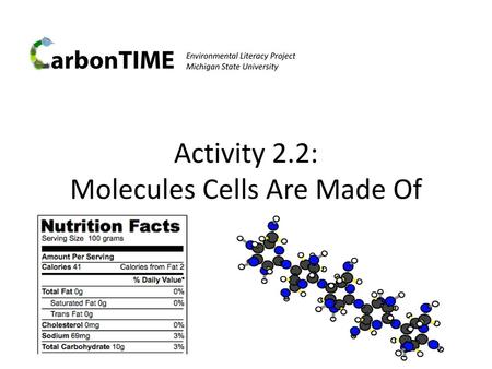 Activity 2.2: Molecules Cells Are Made Of
