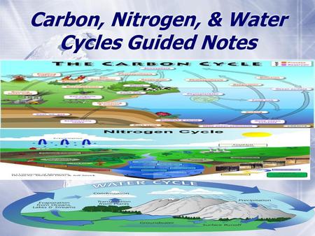Carbon, Nitrogen, & Water Cycles Guided Notes