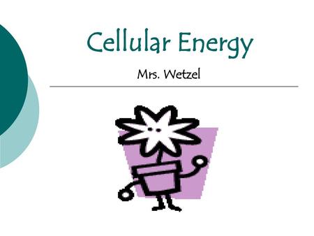Cellular Energy Mrs. Wetzel.