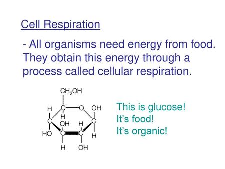 - All organisms need energy from food.