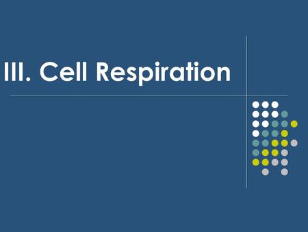 III. Cell Respiration.