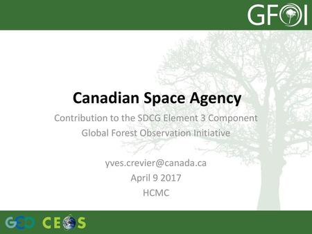 Canadian Space Agency Contribution to the SDCG Element 3 Component