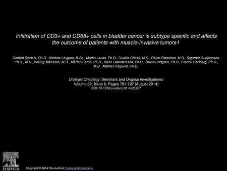 Infiltration of CD3+ and CD68+ cells in bladder cancer is subtype specific and affects the outcome of patients with muscle-invasive tumors1  Gottfrid.