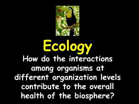 Ecology How do the interactions among organisms at different organization levels contribute to the overall health of the biosphere?