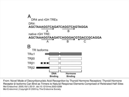 Fig. 1. Structure of the DR4 and rGH TRE and Schematic of the Different TR Isoforms A, The nucleotide sequence of a consensus DR4 and the native rGH TRE.