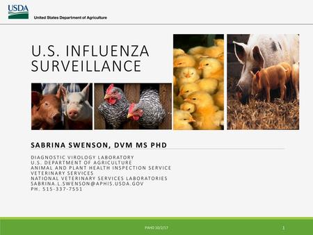 U.S. Influenza Surveillance Sabrina Swenson, dvm ms phd