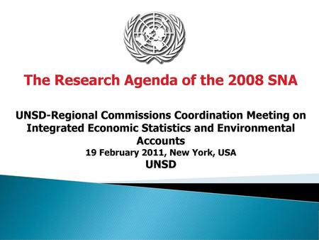 The Research Agenda of the 2008 SNA