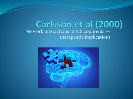 Network interactions in schizophrenia — therapeutic implications