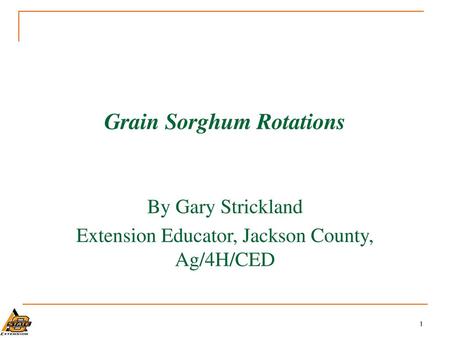 Grain Sorghum Rotations