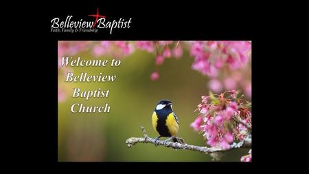 Welcome to Belleview Baptist Church.