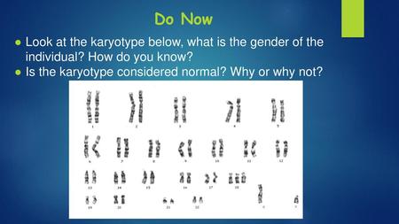 Do Now Look at the karyotype below, what is the gender of the individual? How do you know? Is the karyotype considered normal? Why or why not?