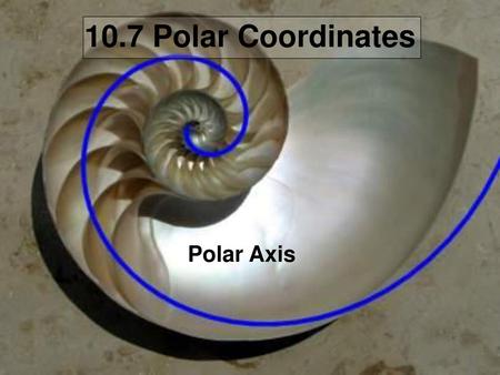 10.7 Polar Coordinates Polar Axis.
